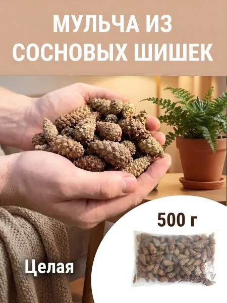 Мульча для сада из шишек целая 500 гр