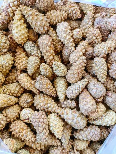 Мульча для сада из шишек целых 5 кг