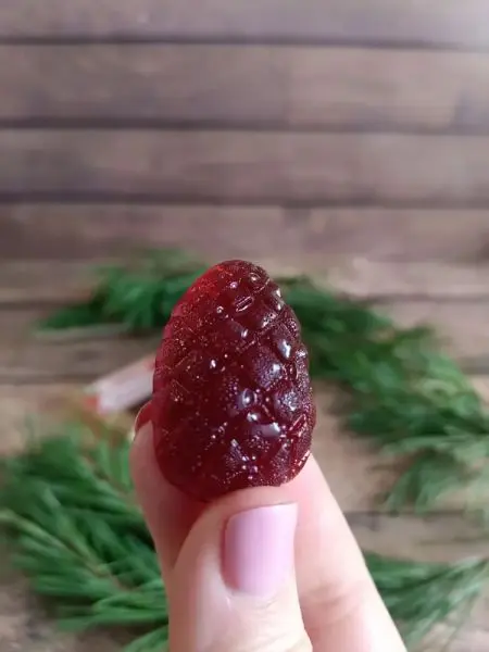 Мармелад ягодный Брусничка, 1кг