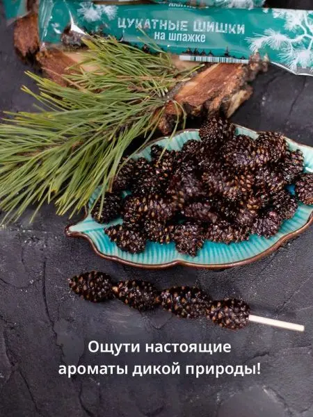Цукаты из сосновых шишек на шпажке 25 гр